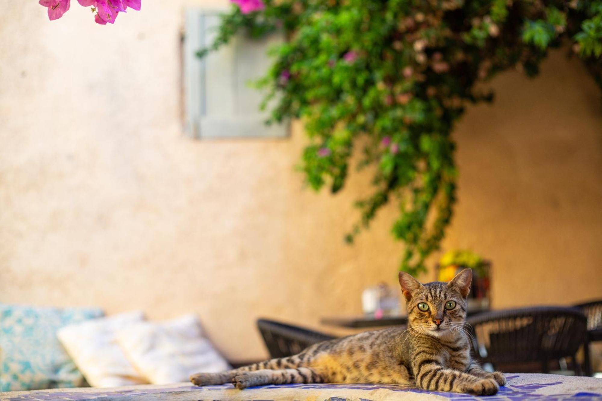 Rhodes CityThe Old Town House公寓 外观 照片