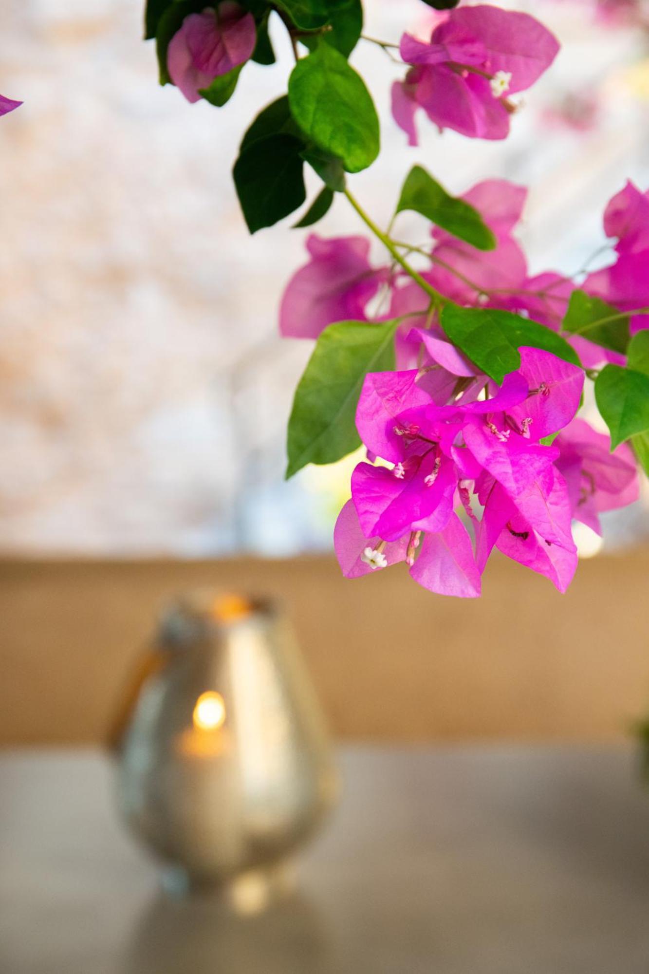 Rhodes CityThe Old Town House公寓 外观 照片